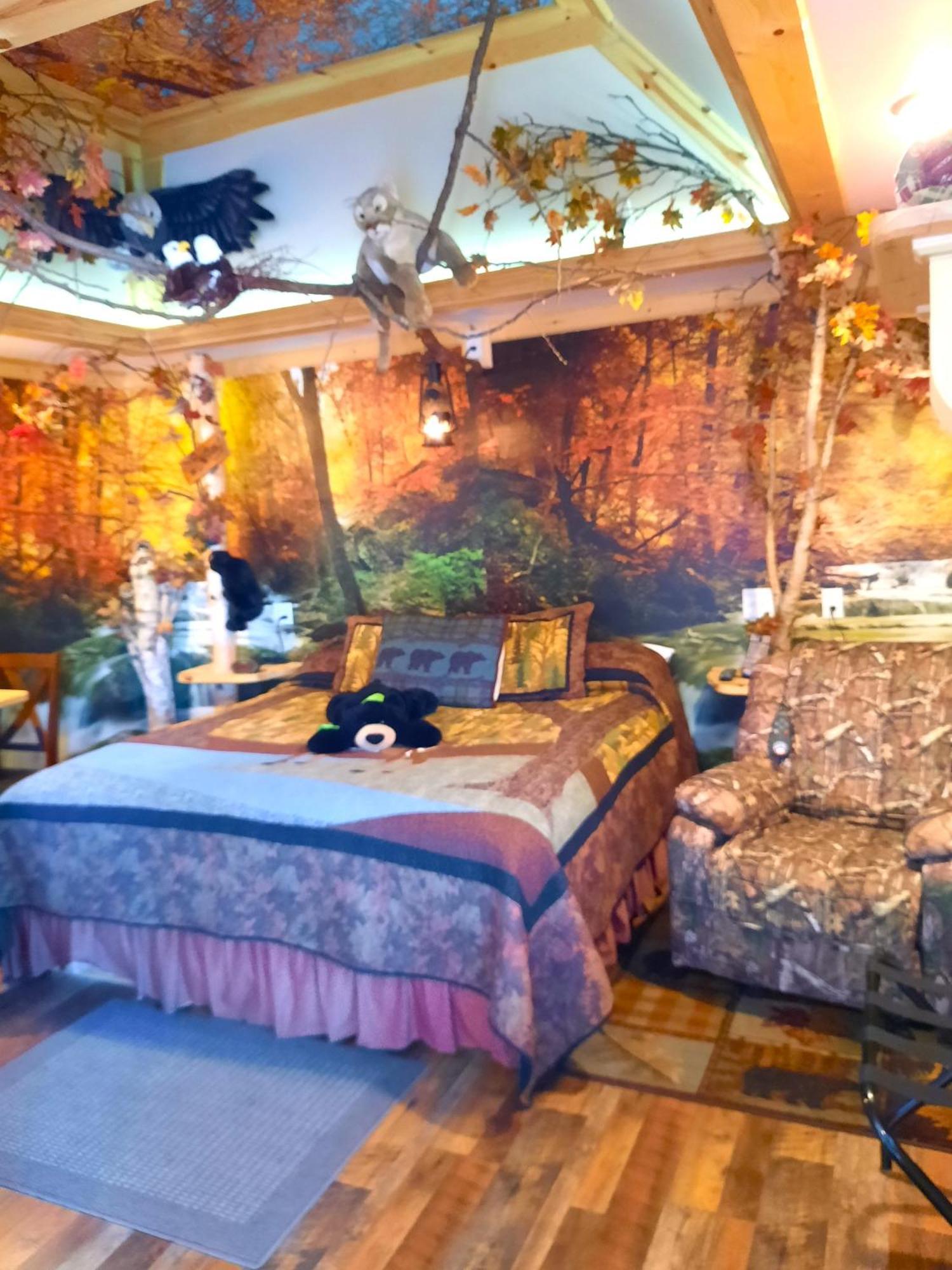 סיינט איגנס Bear Cove Inn מראה חיצוני תמונה