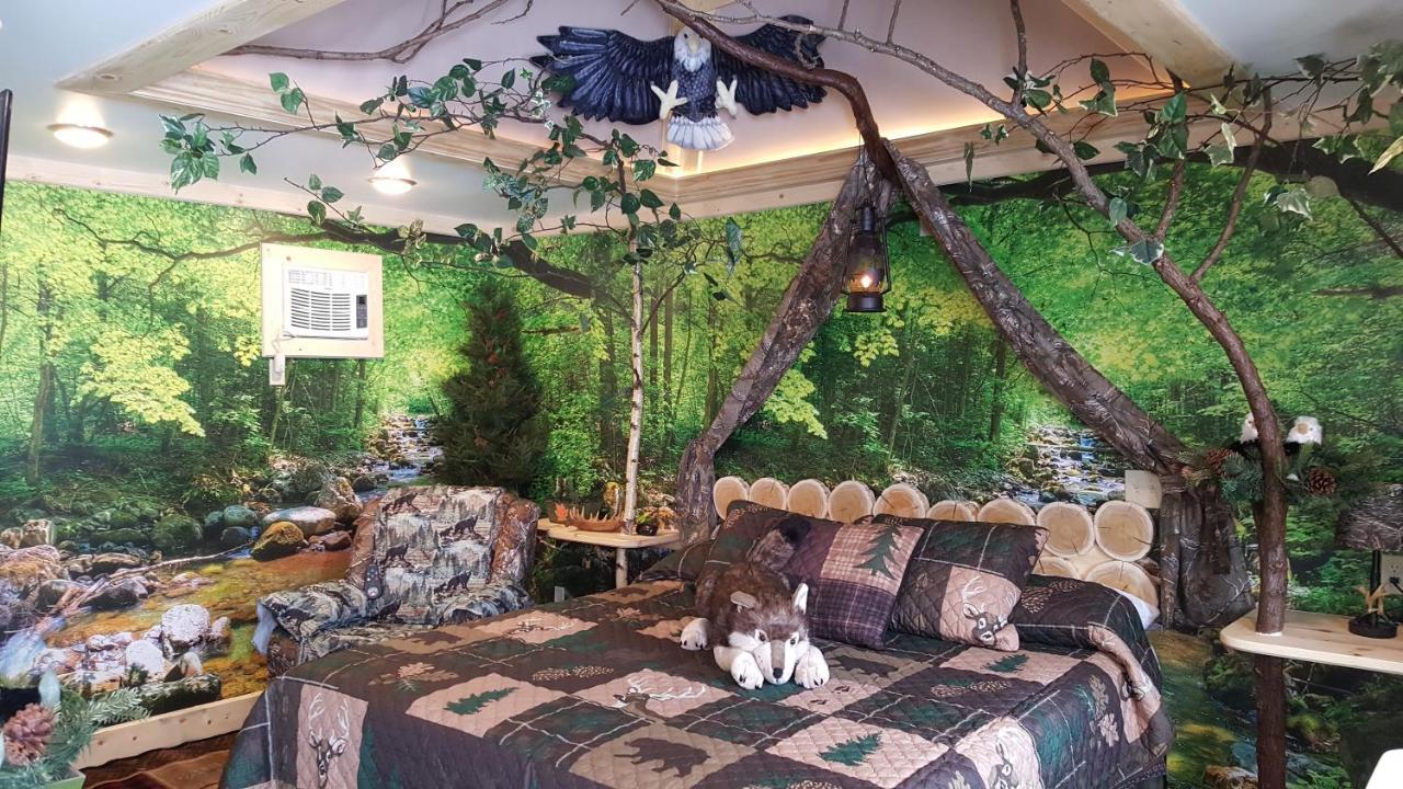 סיינט איגנס Bear Cove Inn מראה חיצוני תמונה